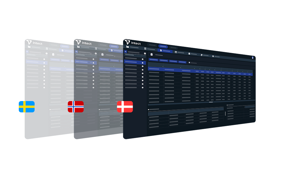 Intect Skandinavisk Lønsystem Interface Flag 976X597px